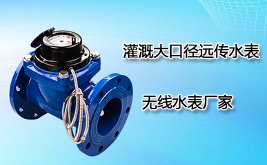 灌溉大口徑遠傳水表與無線水表 行業先鋒廠家的創新之道